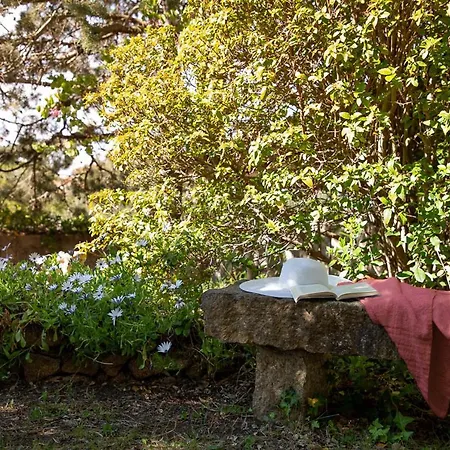 Casa Zenzero By Wonderful Italy Hotel Olbia